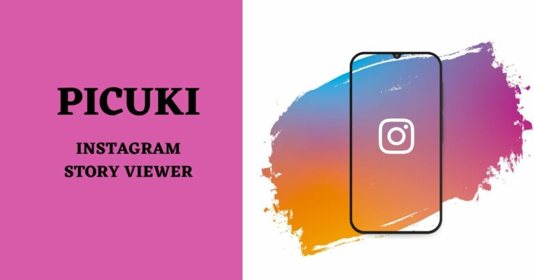 Picuki: Instagram Story Viewer